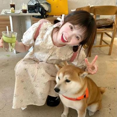 公子贵姓 在线观看